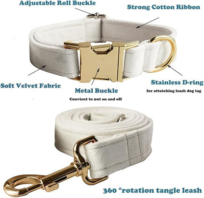 Love Dream Velvet Dog Collar and Leash Set, Soft & Comfy Adjustable Dog Leash and Collar with Heavy Duty Metal Buckle for Small Medium Large Dogs Training & Walking (Small, White)