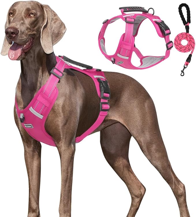 Dog Harness No Pull Adjustable Reflective,for Medium and Large Small Dog with Leash 59.06in (Fuscia, M)
