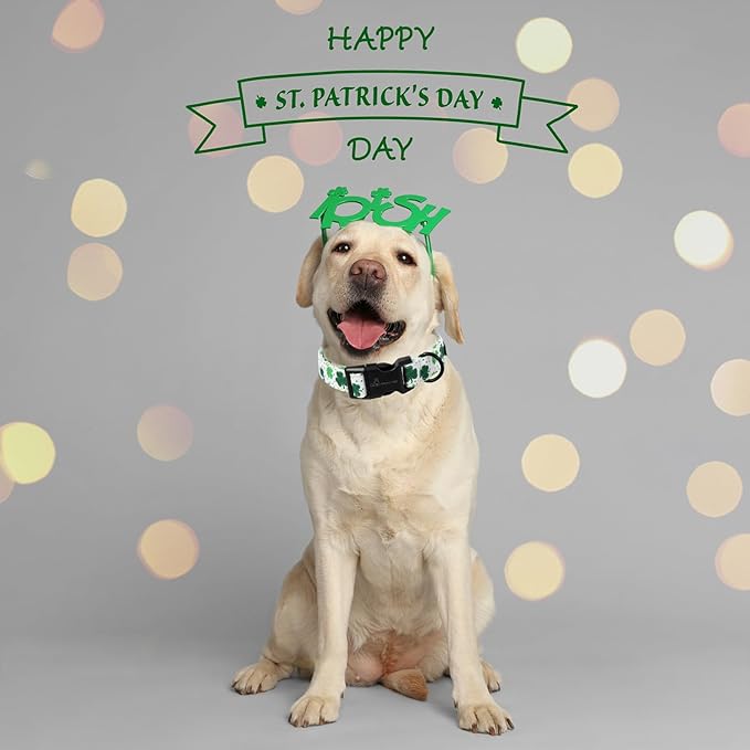 ARING PET St Patrick's Day Dog Collar, Cute White Clovers Shamrock Pet Collars with Quick Release Buckle for Puppy Small Medium Large Boy Girl Dogs-S