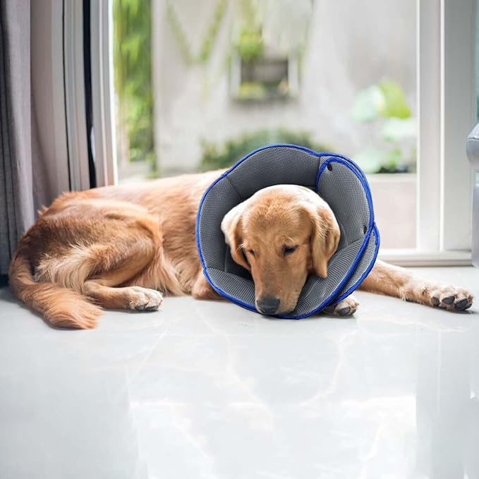 Soft Dog Cone Collar Alternative to Stop Licking,Comfort Recovery Collar for Large, Medium,Small Dogs,Adjustable Elizabethan Collar Alternative,Dogs Recovery Collar After Surgery,Blue,M