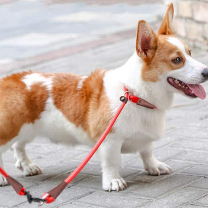 MayPaw Slip Collar Nylon Rope Adjustable Collar for Dog Training- No Pull Round Martingale Dog Collars for Small Medium Large Dogs