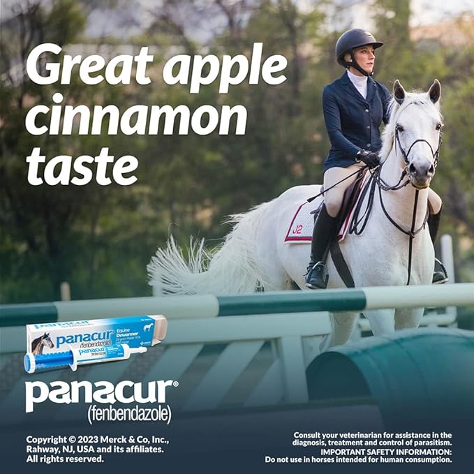 (3 Pack) PANACUR Dewormer Horse Paste 10%, 100mg Each