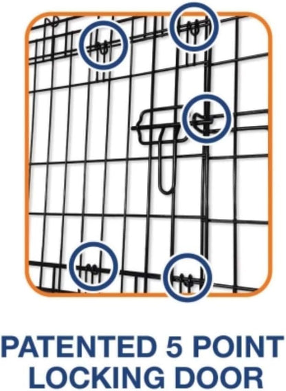 Precision Pet Products Two Door Provalue Wire Dog Crate, 36 Inch, For Pets 50-70 lbs, With 5-Point Locking System