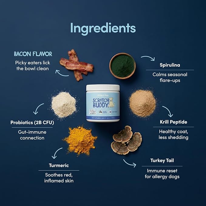 Scratch Buddy Dog Allergy Relief Powder with Colostrum, Spirulina & Turkey Tail Mushroom - Natural Itch Relief for Dogs - Anti Itch Supplement for Seasonal Allergies, Skin Health & Paw Licking - Bacon