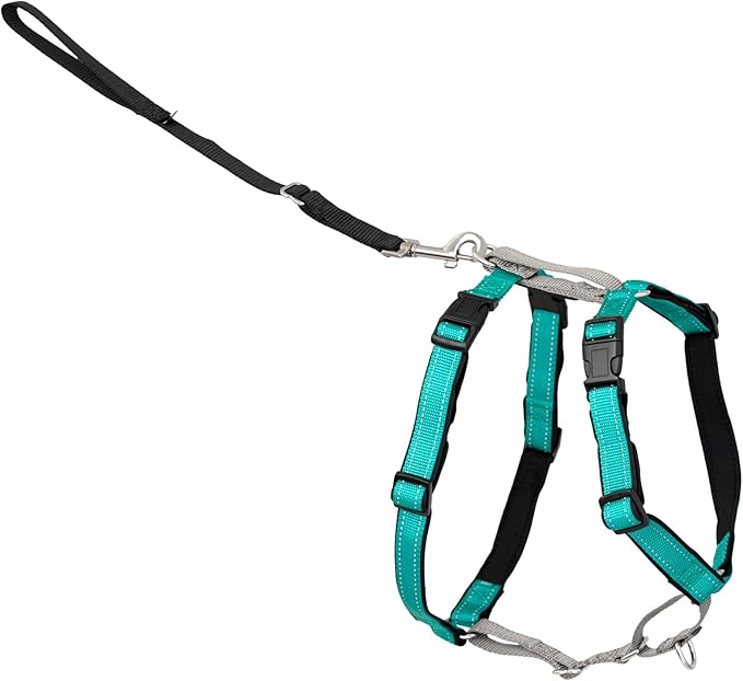 PetSafe 3-in-1 Harness - Comfortable Easy-Walk Dog Chest Harness with Front Leash Attachment to Reduce Pulling, Choking & Gagging - Dog Obedience Gear - Small - Teal