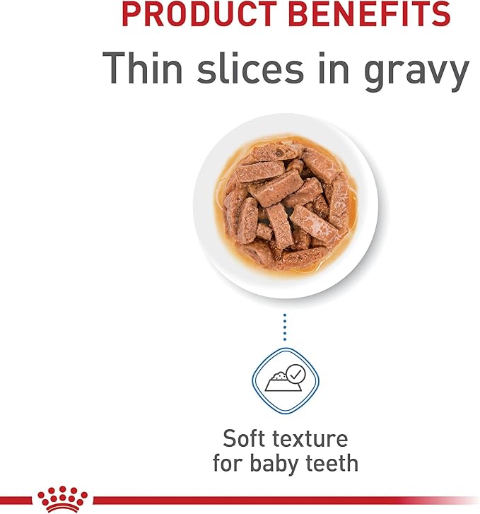 Royal Canin Size Health Nutrition Large PuppyThin Slices in Gravy Dog Food, 13 oz (Pack of 12)