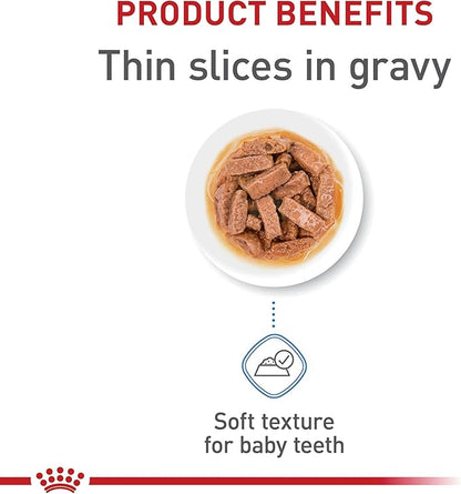 Royal Canin Size Health Nutrition Large Puppy Thin Slices in Gravy Dog Food, 13 oz (Pack of 6)