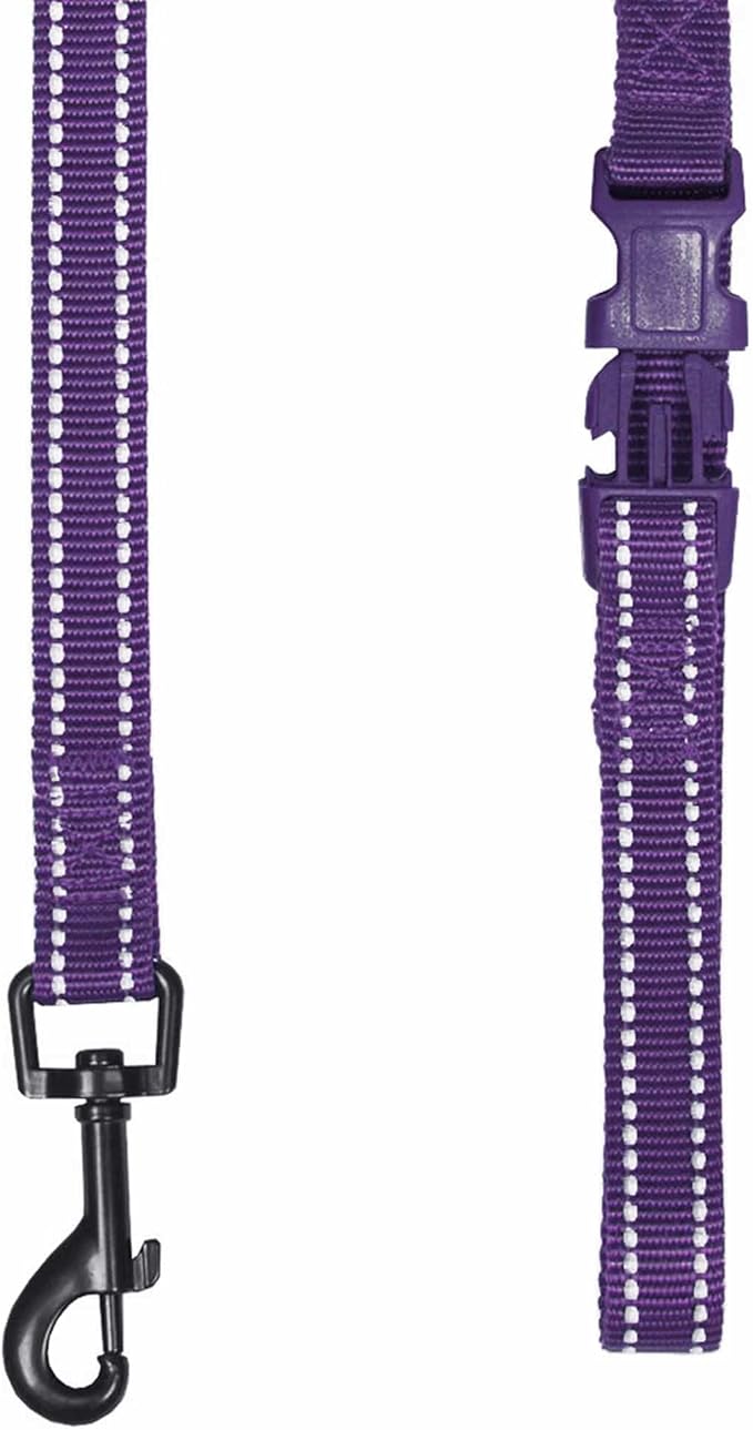 Blueberry Pet Essentials Durable 3M Reflective Classic Dog Leash 4 ft x 1", Violet, Large, Leashes for Dogs