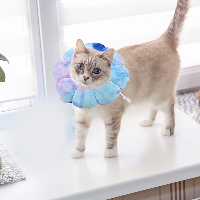 Adjustable Dog Cone Collar, Soft Dog Elizabethan Collar Recovery E Collar After Surgery, Recovery E-Collar for Kittens/Puppies and Cats Recovery (Purple Blue, M)
