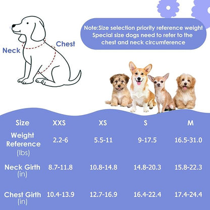 Lukovee Puppy Harness and Leash Set, No Pull Lightweight Soft Suede Adjustable Pet Harness Vest with Snap Buckle for Puppy Small and Medium Size Dog (Blue Flower, XS)