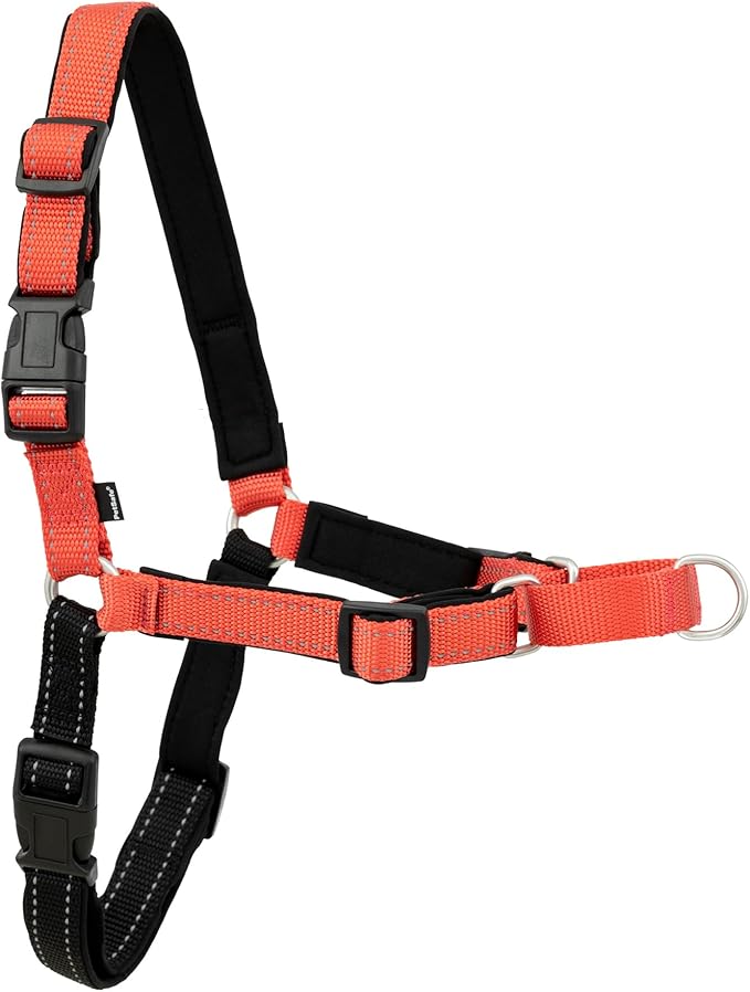PetSafe Deluxe Easy Walk Harness - Trainer-Trusted Dog Chest Harness with Breathable Martingale Loop Design - Helps Stop Pulling with No Choking & Gagging - Small - Rose