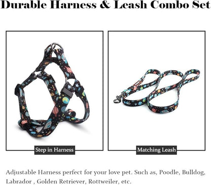 QQPETS Dog Harness Leash Set Adjustable Heavy Duty No Pull Halter Harnesses for Small Medium Large Breed Dogs Back Clip Anti-Twist Perfect for Walking (S(14"-20" Chest Girth), Space)