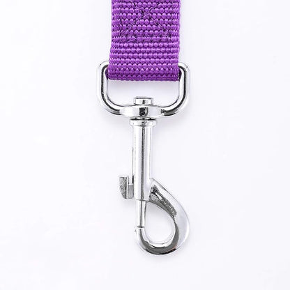 Strong Durable Nylon Dog Training Leash, 1 Inch Wide Traction Rope, 6 ft Long, for Small and Medium Dog (Purple, 6 Feet)