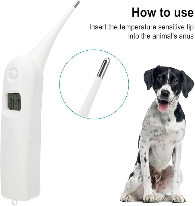 Pig Thermometer Electronic LCD Pet Veterinary Thermometer with Memory Function for Dogs Cats Pet Dog Thermometer Horse Anus Thermometer Fast Digital Veterinary Thermometer
