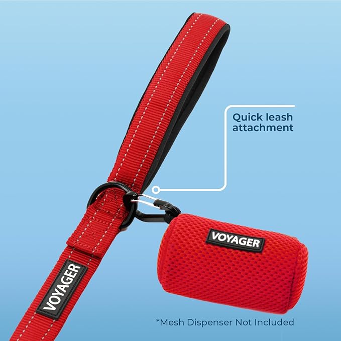 Best Pet Supplies Voyager Reflective Dog Leash or Collar with Neoprene Handle, for Small, Medium, and Large Breed Puppies, Cute and Heavy Duty for Walking, Running and Training - Red (Leash), L