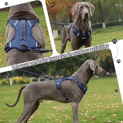 Dog Harness No Pull Adjustable Reflective,for Medium and Large Small Dog with Leash 59.06in (Dark Blue, S)