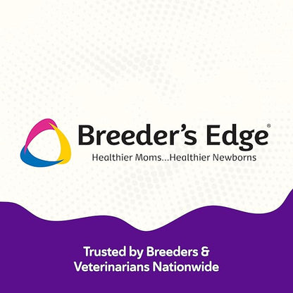 Breeder’s Edge B Strong Powder, B-Complex Vitamin Supplement for Dogs and Cats, Supports Reproductive Health, Promotes Normal Heat Cycles, and Helps Maintain Energy, 300g