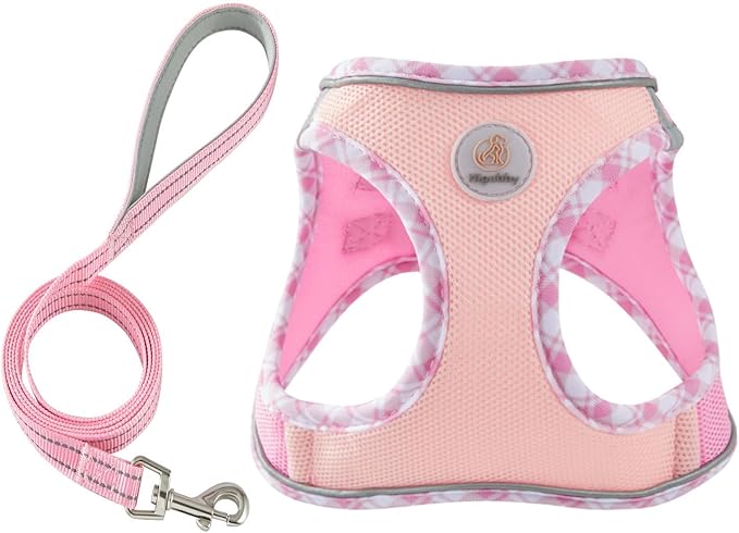 Hipubby Dog Harness Small Sized and Leash Set, No Pull Soft Mesh Puppy Vest, Reflective Breathable Lightweight Pet Harness, Harness for Small Medium Dogs and Cats - Light Pink S