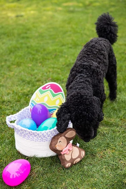 Pearhead Chocolate Bunny Plush Dog Toy, Easter Squeaky Dog Toy, Soft Plush Pet Toy for Dogs and Puppies, Easter Basket Gift for Pets