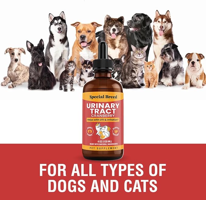 Cat & Dog Urinary Tract Infection Treatment – Natural UTI Relief with Cranberry Drops – Kidney & Bladder Support – Helps Incontinence, Frequent Urination, Bladder Stones – Pet Renal Care Drops