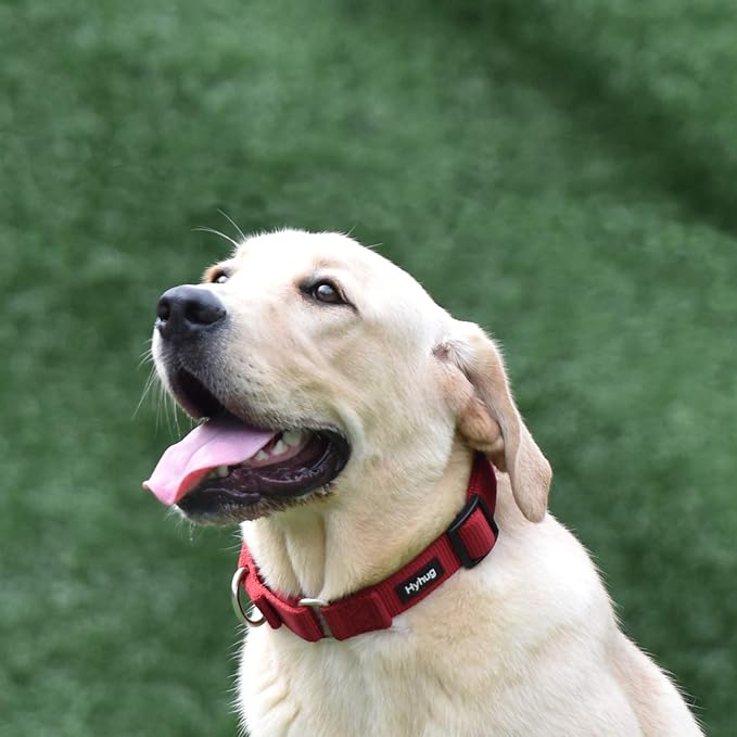 Hyhug Martingale Collar for Dogs Large Red |Escape - Proof Heavy Duty Nylon Durable No Pull, Ideal for Training & Daily Walks