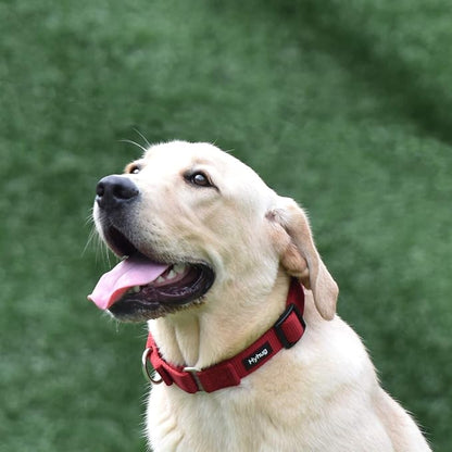 Hyhug Martingale Collar for Dogs Large Red |Escape - Proof Heavy Duty Nylon Durable No Pull, Ideal for Training & Daily Walks