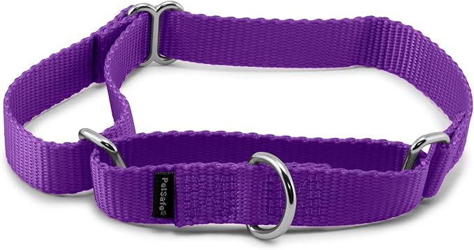 PetSafe Adjustable Martingale Collar - Only Tightens When Dogs Pull, Prevents Slipping Out - Helps with Strong Pullers, Increased Control - Alternative to Choke Collar - 3/4", Medium, Deep Purple