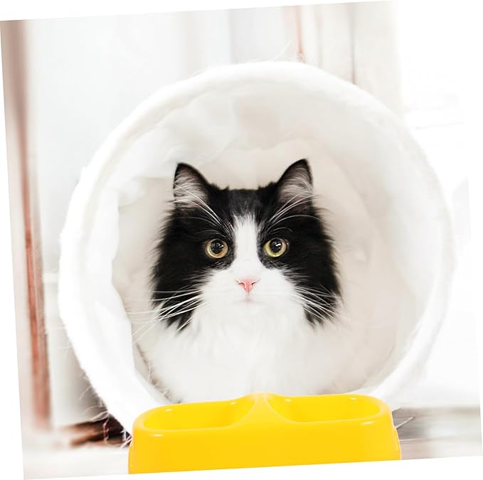 Practical Double-Design Pet Bowl Dog Feeder Dog Food Container for Indoor Outdoor