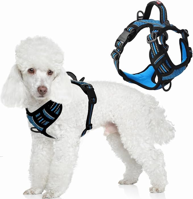 BARKBAY Dog Harness No Pull with ID Tag Pocket - Heavy Duty, Reflective, Easy Control for Small Dogs(Blue/Black,S)