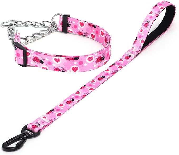 Martingale Dog Collar and Leash Set, Stainless Steel Chain, No Pull Training Collar with Flower Design, for Small, Medium, Large Dogs (NO20, S)