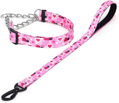 Martingale Dog Collar and Leash Set, Stainless Steel Chain, No Pull Training Collar with Flower Design, for Small, Medium, Large Dogs (NO20, L)