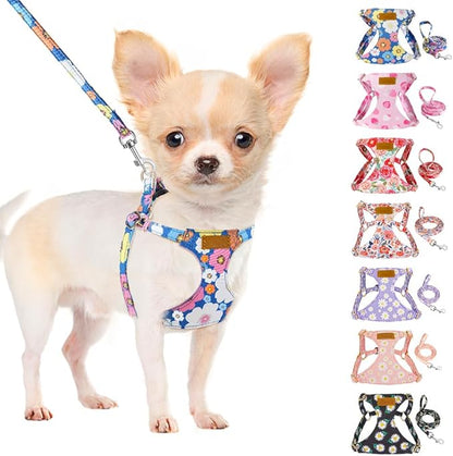 SlowTon No Pull Dog Harness with Leash - Soft Lightweight Floral Pattern Puppy Harness, Adjustable Pet Harness for Small Medium Dogs (Blue Flower S)