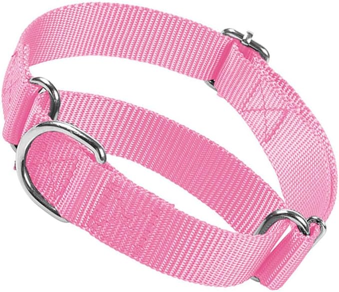 Martingale Collar for Dogs, Escape Proof Dog Choke Collar No Pull Cinch Dog Training Collars Adjustable for Small Medium Large Breed Pet Dogs, Pink L