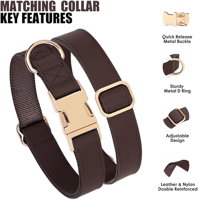 PET ARTIST Soft PU Leather Dog Collar and Leash Set, Bright & Stylish 5FT PU Leather Leash and Collar Set, Durable Pet Collars with Quick Release Metal Buckle for Medium Dogs,Brown,M(13-19")