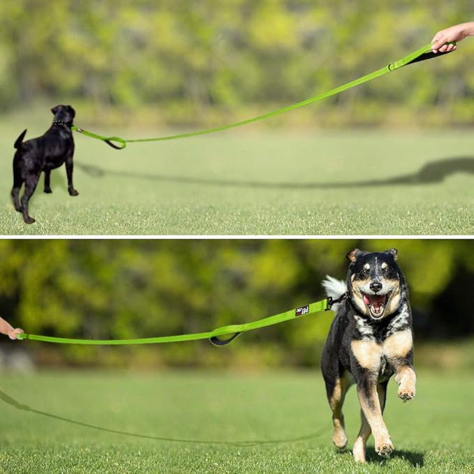 Plutus Pet Double Handle Dog Leash 6ft Long, Padded 2 Handle, Heavy Duty, Reflective Training Leash for Medium Large Dogs, Dual Handle Lead (Green)