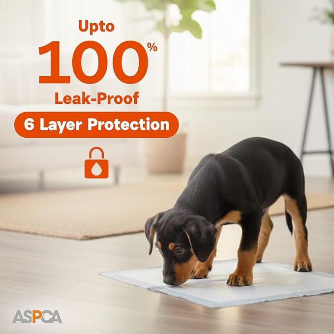 ASPCA - Scented Puppy Pads Extra Absorbent Dog Training Pads for Cats & Dogs Leak-Proof Layers Odor Control & Quick-Dry Non-Slip & Tear-Resistant Travel Friendly Pack of 50 Size 22" x22'