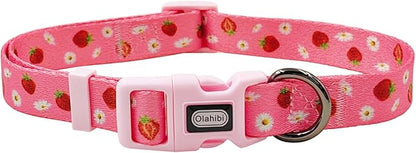 Dog Collar Leash Set, Floral Pattern, Polyester Material, Adjustable Collar and 5ft Matchcing Leash, for Medium Dogs.(M,Daisy and Strawberry)