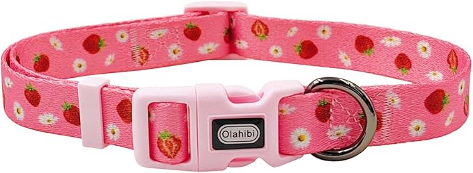Dog Collar Leash Set, Floral Pattern, Polyester Material, Adjustable Collar and 5ft Matchcing Leash, for Small Dogs.(S, Daisy and Strawberry)