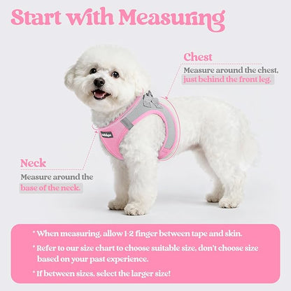 rabbitgoo Dog Harness Small Sized and Leash Set, Step in Soft Light Puppy Vest, Breathable Mesh Pet Harness, Reflective for Safe Easy Walking, Pink & Gray XXS