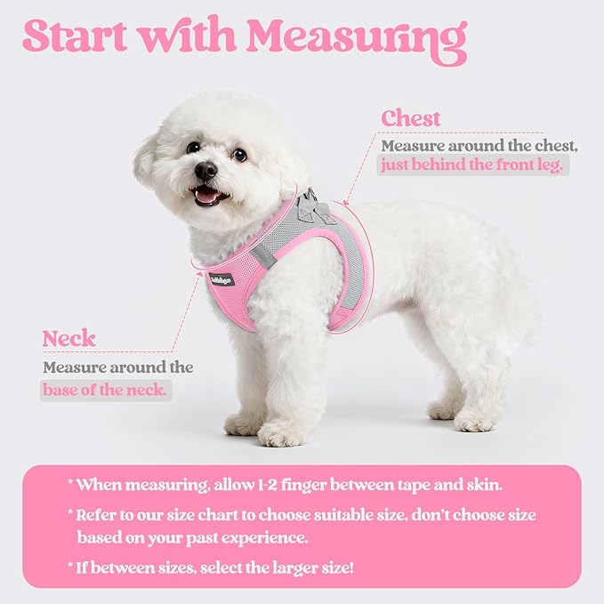 rabbitgoo Dog Harness Small Medium Sized and Leash Set, Step in Soft Light Puppy Vest, Breathable Mesh Pet Harness, Reflective for Safe Easy Walking, Pink & Gray L