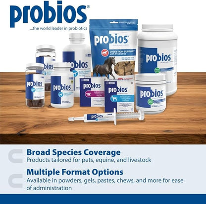 Probios for Dogs Soft Chews, Probiotics for Dogs, Daily Supplement for Gut Health, Digestion & Immune Support, Small Breeds, 4.23oz (Pack of 2)