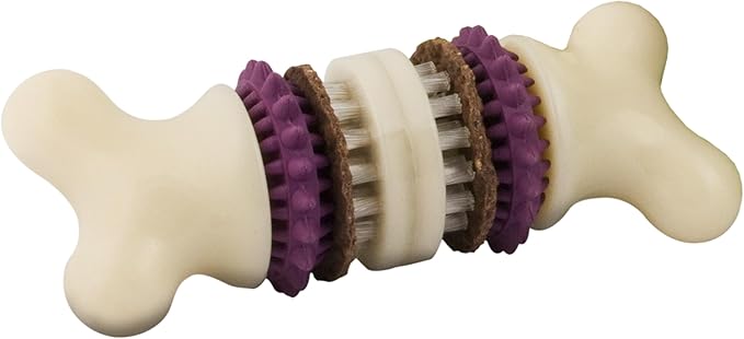 PetSafe Busy Buddy Bristle Bone - Chew Toy for Dogs - Boredom Relief & Dental Care - Durable Nylon Build with Rubber Nubs - Includes Treat Ring Refills - Dishwasher Safe Design