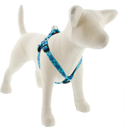 LupinePet Originals 3/4" Turtle Reef 15-21" Step in Harness for Small Dogs