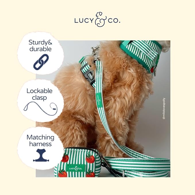 Lucy & Co. Tomato, Tomahto Dog Leash, Durable Matching Dog Lead with Heavy Duty Hardware, Small