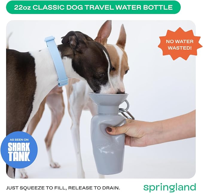 Springer Dog Water Bottle | Portable Travel Water Bottle Dispenser for Dogs - As Seen on Shark Tank | Patented, Leak-Proof Bottles Fill Bowl with Water - Ideal for Walking | BPA-Free 22oz Gray