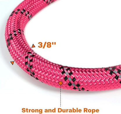 Taglory Rope Dog Leash 5 FT with Comfortable Padded Handle, Highly Reflective Threads Leash and Anti-Tangle Clip for Walking Small Dogs, 3/8 inch, Pink