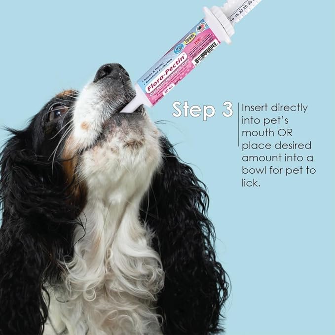 Oral Paste for Dogs & Cats-Helps Reduce Occasional Loose Stool & Diarrhea, Balance Gut pH, Support Normal Digestion & Intestinal Flora-Fast Acting (60 CC - Tasty Chicken Flavor) - 2 Pack