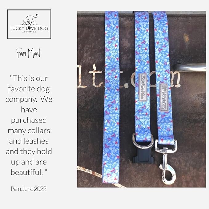 Lucky Love Dog Martingale Dog Collar - Adjustable, No-Slip, Durable, & Soft Webbing Collar for Male and Female Dogs Ideal for Training & Walking - Winterblue, Small