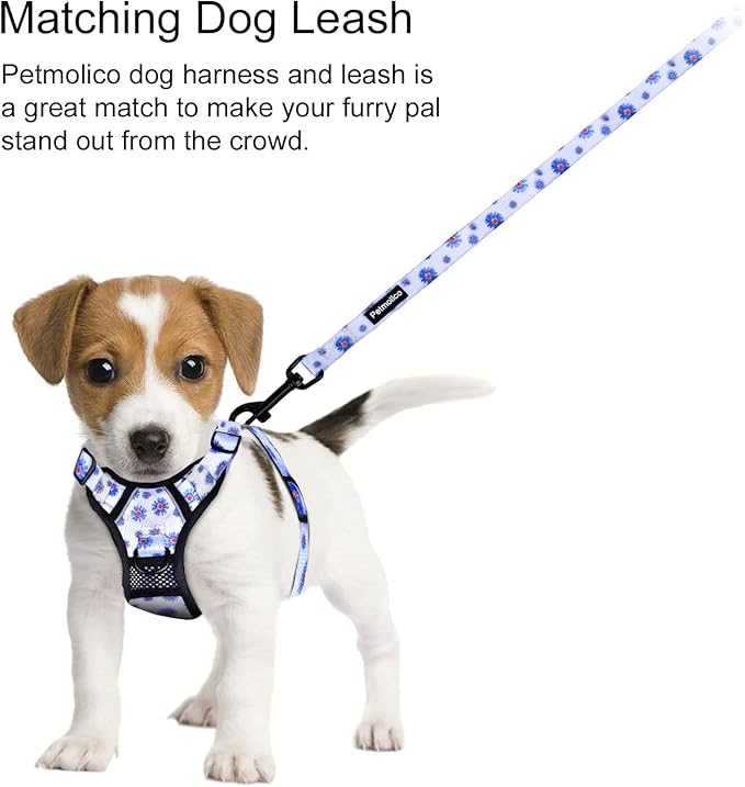 Petmolico No Pull Dog Harness and Leash Set, No Choke 4 Leash Attchments Easy Control Handle Soft Padded Reflective Vest Dog Harness for Medium Dog Breed, Daisy Medium