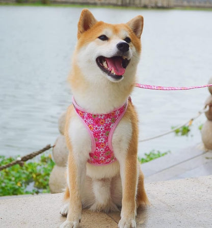 Moonpet Step in Dog Harness Leash Set- All Weather Reflective No-Pull Floral Pattern Padded Mesh Vest Harness for Cats Puppy Extra-Small Small Medium Large Dogs - Pink Flower - XL